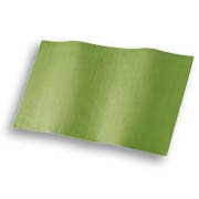 IQF green lasagne pasta sheets